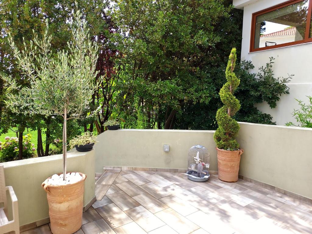 Zahrada ubytování Villa Bloom