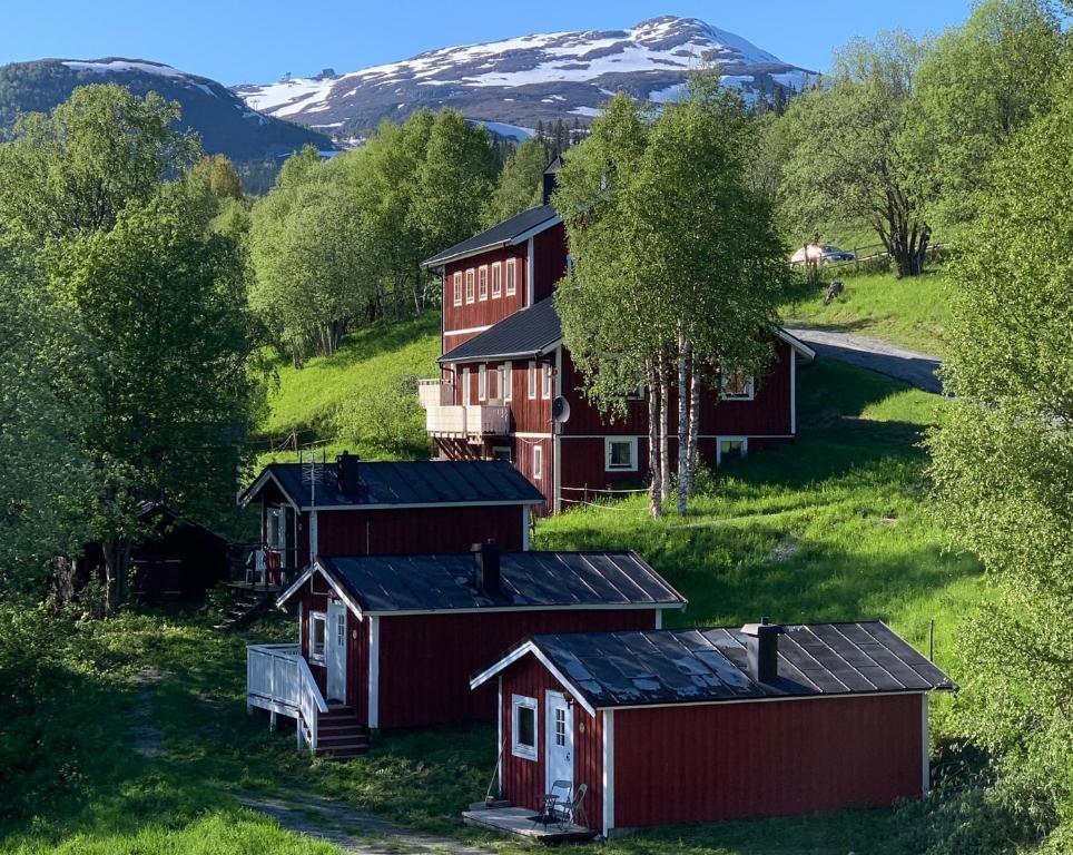 a group of barns in a field with a mountain at Karolinen Stugor & Lägenheter in Åre