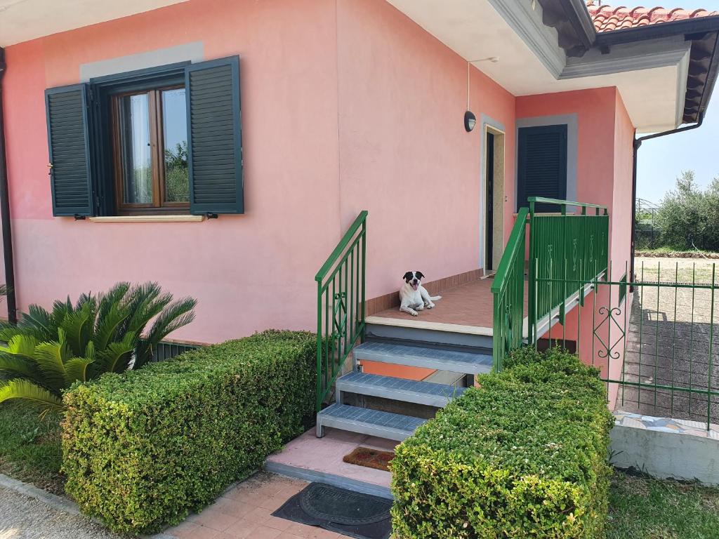 A garden outside Home 123