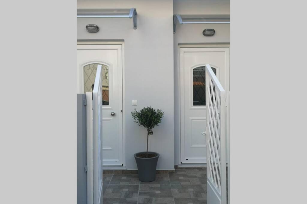 a hallway with white doors and a potted plant at CasaDiNova1 in Paradeísion