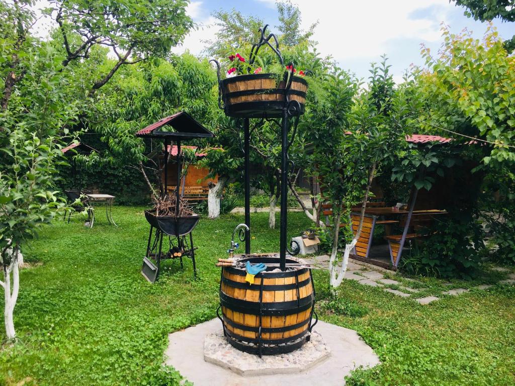 Zahrada ubytování Eco