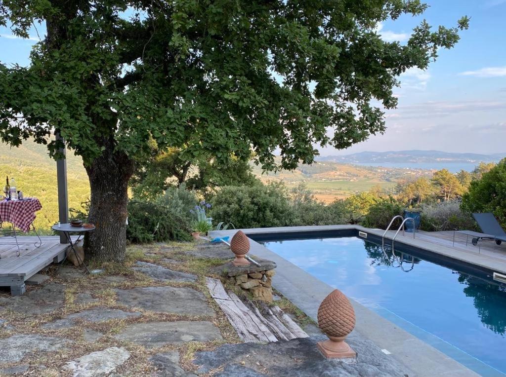een zwembad met een boom naast een boom bij casa intera giardino e piscina in Tuoro sul Trasimeno