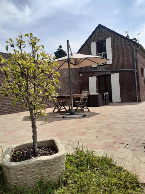 un arbre dans un pot en pierre devant un bâtiment dans l'établissement La Maison de l'Isle, à Eu