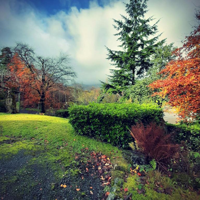 Un jardín fuera de Glenorchy Lodge-Rooms Only