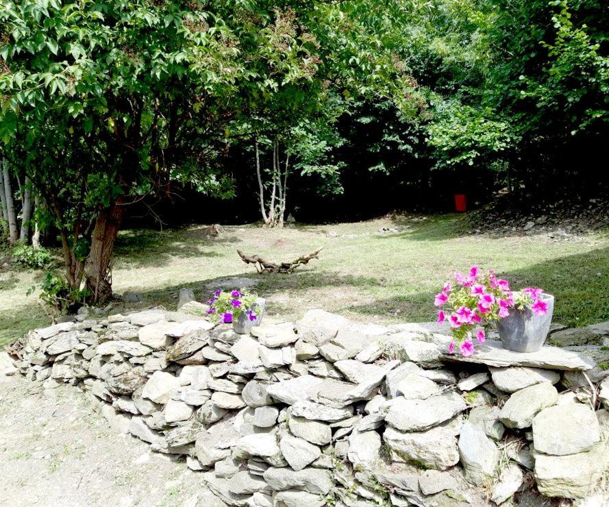 eine Felswand mit ein paar Blumen darüber in der Unterkunft La grange Loudervielle Louron Pyrénées in Loudenvielle