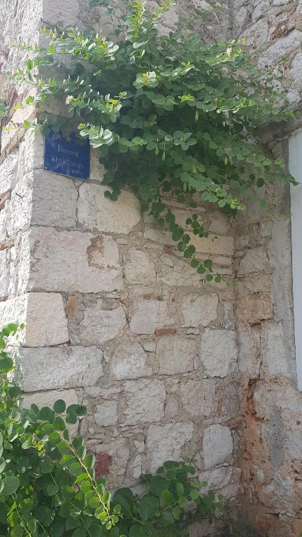 una pared de piedra con hiedra verde creciendo en ella en Stone house apartment in Zlarin centre en Zlarin