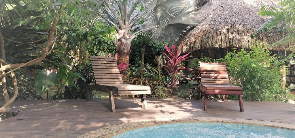 - deux chaises assises sur une terrasse à côté d'une piscine dans l'établissement Chez Oliv, à Palomino