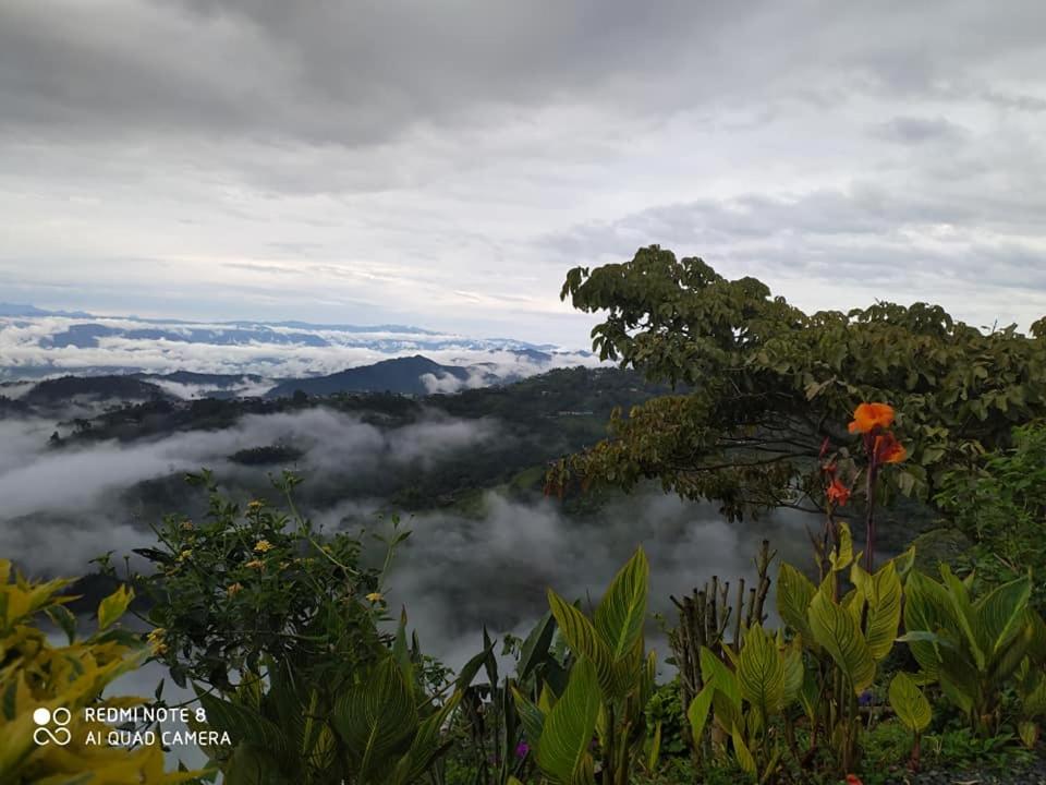 Un paisaje natural cerca of the bed and breakfast