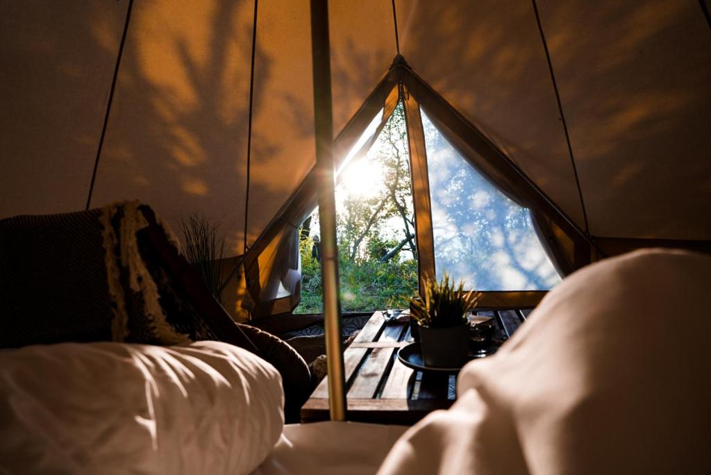 a room with a window with the sun shining through at GLAMPNORD in Bodø