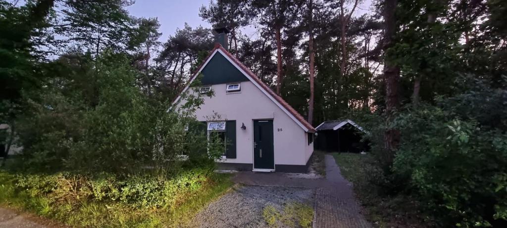 una pequeña casa blanca con techo verde en wittebergen25, en IJhorst