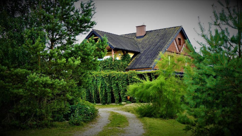 a house with a black roof and a dirt road at Agroturystyka Bogdanki in Stary Targ