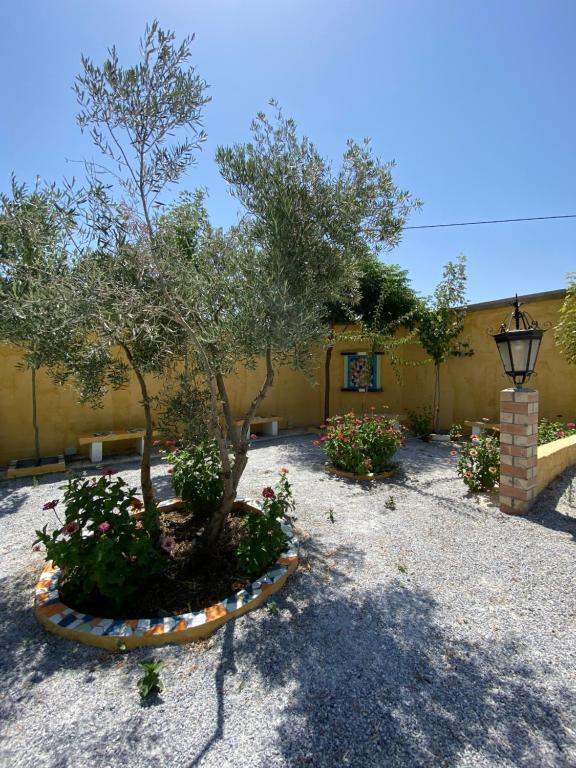 Vonkajšia záhrada v ubytovaní Cortijo Bustamante