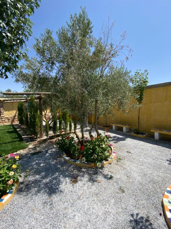 Vonkajšia záhrada v ubytovaní Cortijo Bustamante