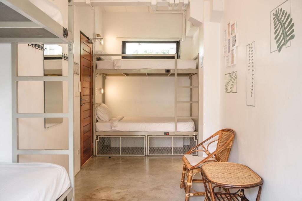 The Dearly Koh Tao Hostel-PADI 5 Star Dive Resort - 1