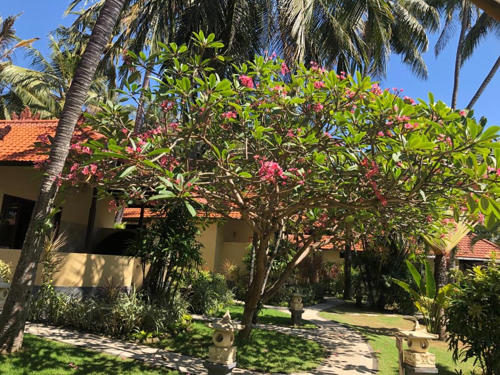 Zahrada ubytování Teluk Karang Dive & Spa Resort