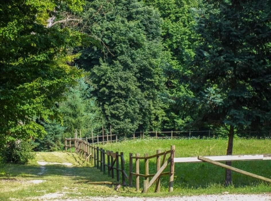 Przyroda w pobliżu tego pensjonatu