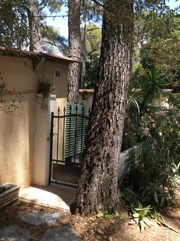 une porte menant à une maison avec un arbre à côté de celle-ci dans l'établissement Cabanon à Sanary sur mer au coeur de Portissol., à Sanary-sur-Mer