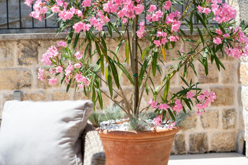 Katareo Apartments - 10