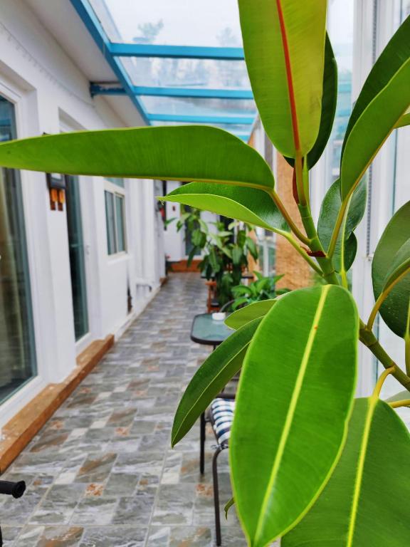 Zahrada ubytování Gubeikou Great Wall Chengtaoxiaozhu Boutique Homestay