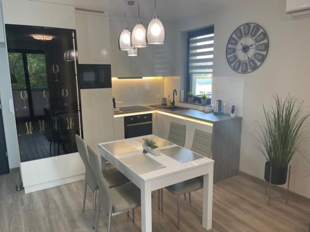 Kuchyň nebo kuchyňský kout v ubytování Apartament Agnes Szczecin Pomorzany