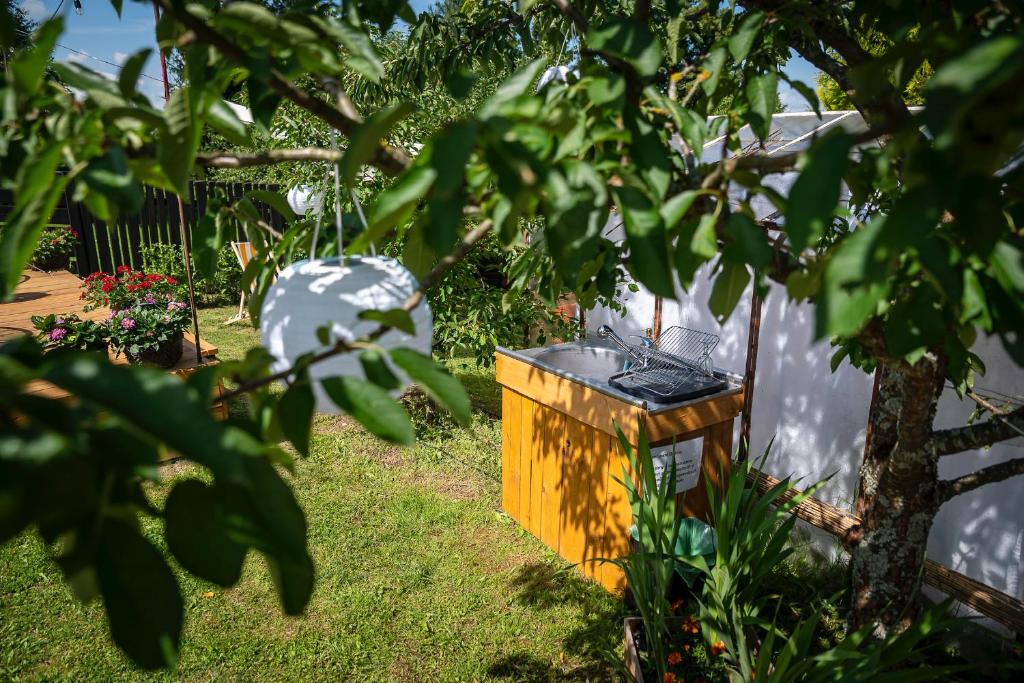 Vonkajšia záhrada v ubytovaní Pokoje u Basi Glamping Mikołajki