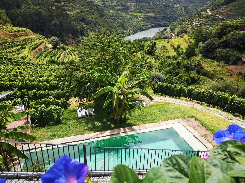 a swimming pool in a garden with a view of a river at Quinta Barqueiros D'Ouro - Casa da Música in Mesão Frio