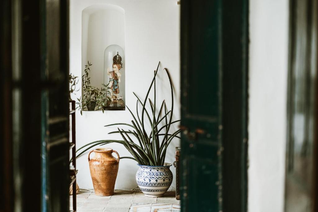 um quarto com dois vasos e uma planta no chão em Hotel I Cinque Balconi em Santa Marina Salina