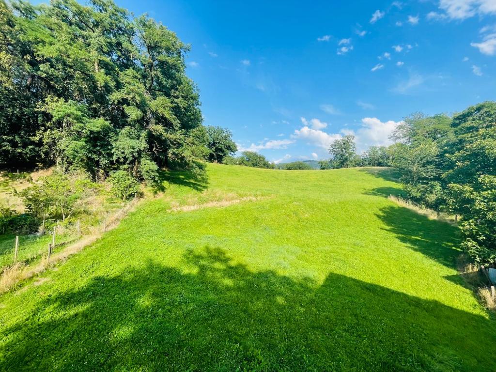 een veld van groen gras met bomen op de achtergrond bij Le Lodge du Pichat in Sainte-Hélène-du-Lac