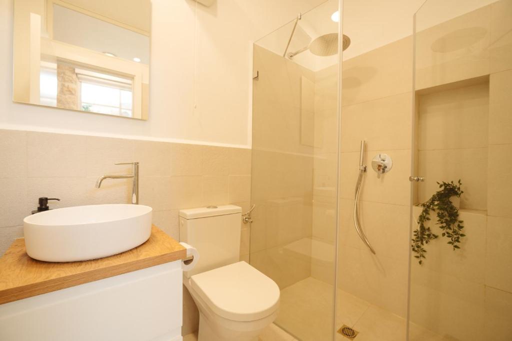 a bathroom with a toilet and a sink and a shower at חקל תפוחין in Safed