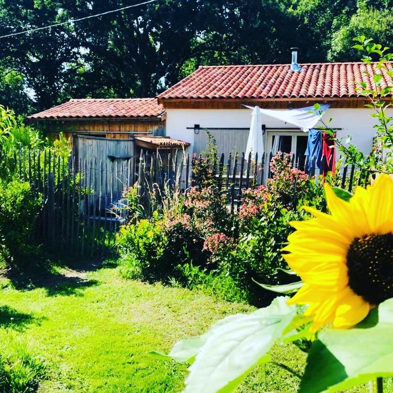 LES VACANCES AUX CERCINS - Four-Bedroom House