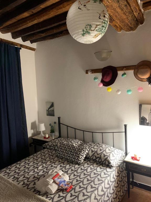 ein Schlafzimmer mit einem Bett und einer Decke in der Unterkunft Le Parole del Gatto in Genua