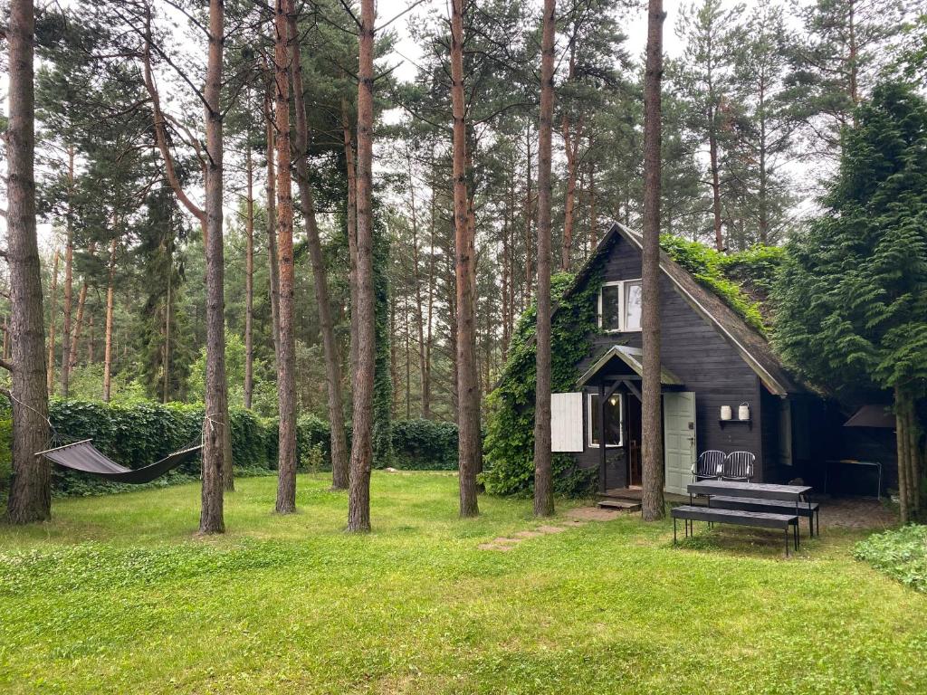 Vonkajšia záhrada v ubytovaní Dom nad jeziorem
