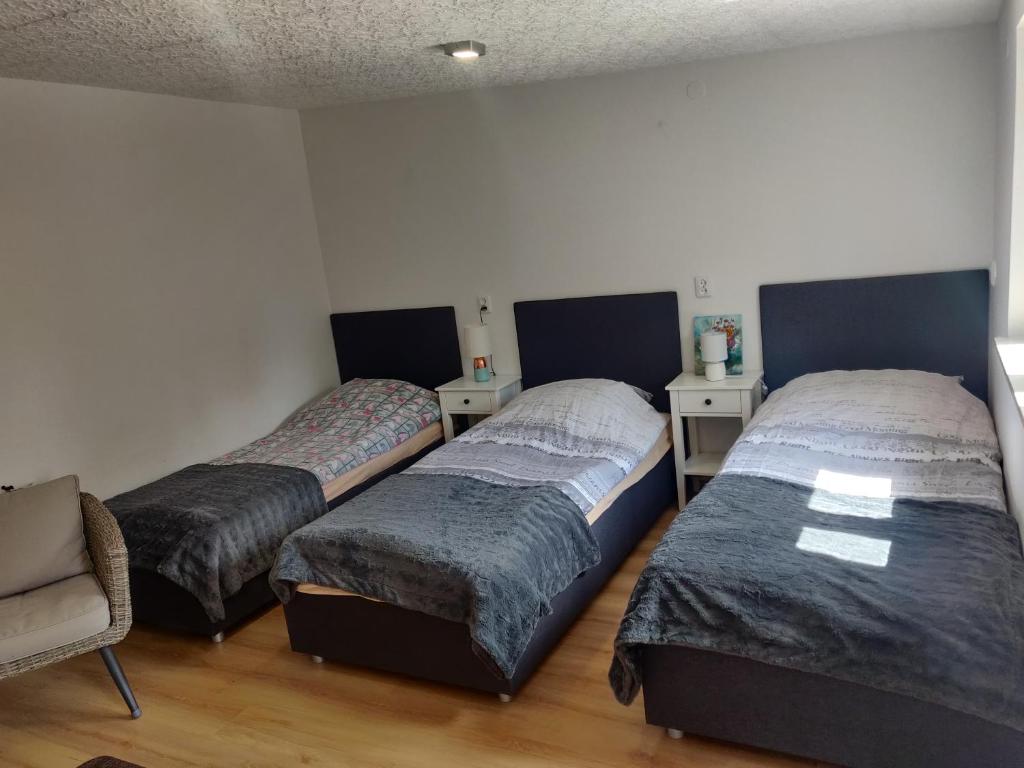 NOCLEGI-SPŁYWY BUGIEM - Deluxe Family Room