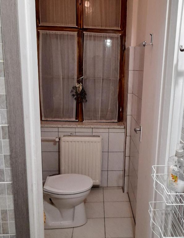 Koupelna v ubytování Locomotiv Vendégház