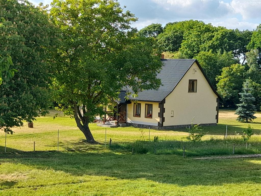 una pequeña casa blanca en un campo con un árbol en PRZYSTANEK nowEKOprzywno - Żółty Domek Pod Kasztanem en Barwice