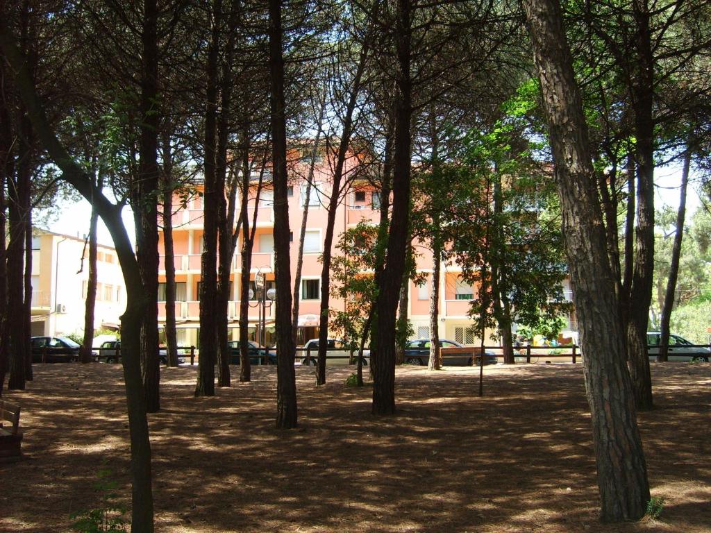 Zahrada ubytování Hotel Valentino
