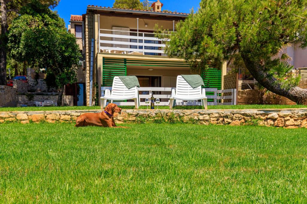 Zahrada ubytování Al Mare Apartments