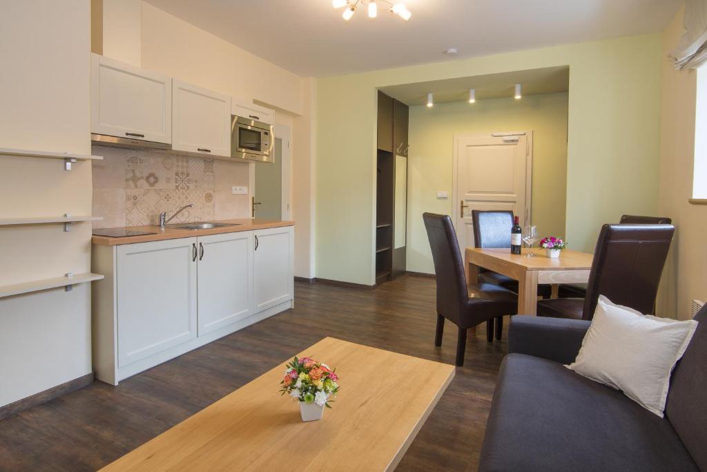 Kuchyň nebo kuchyňský kout v ubytování Hotel Anno