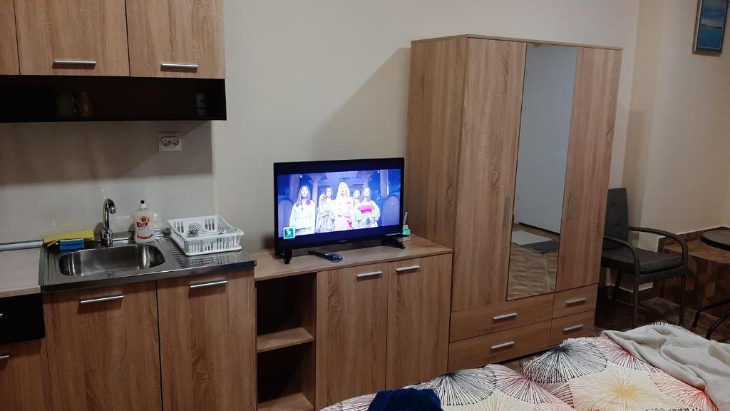 TV a/nebo společenská místnost v ubytování Арт