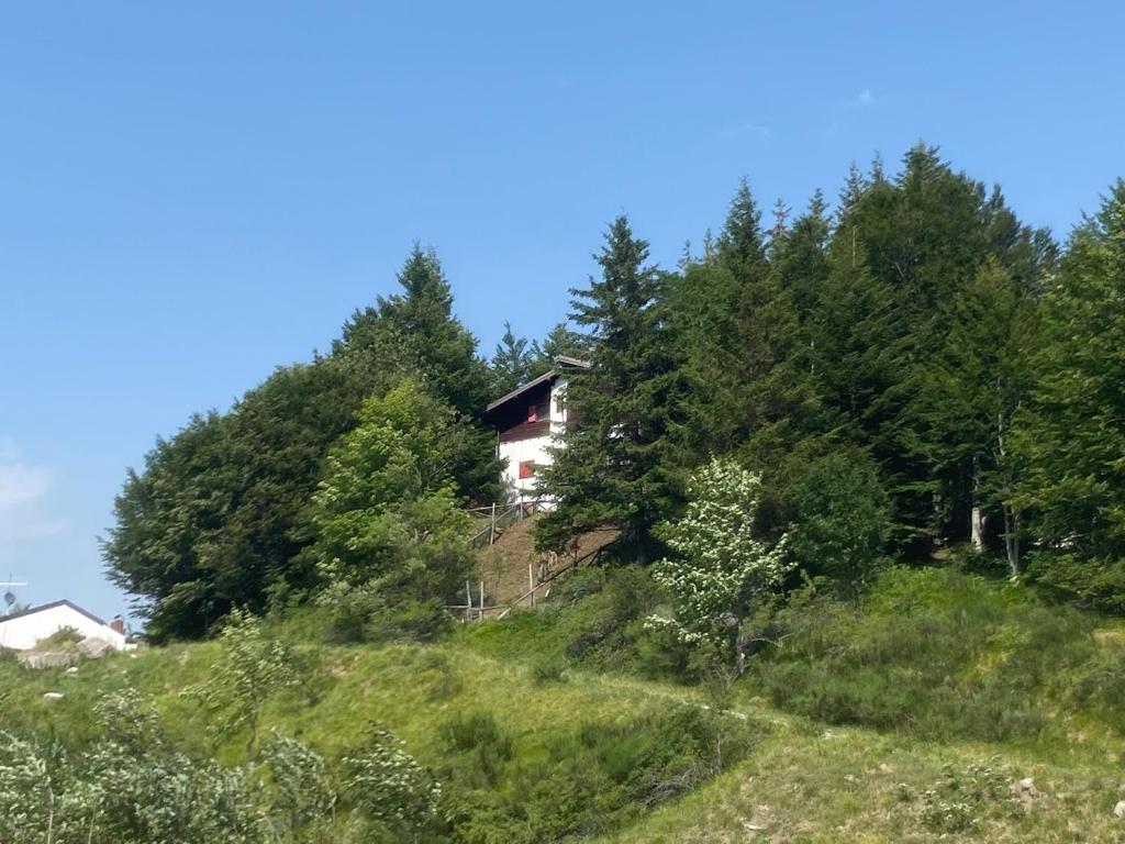 uma casa no topo de uma colina com árvores em Casa Lampo em Abetone
