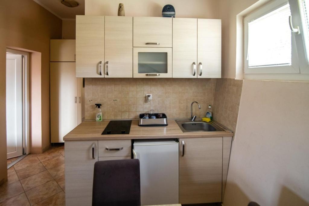 Cucina o angolo cottura di Petrovic apartmani