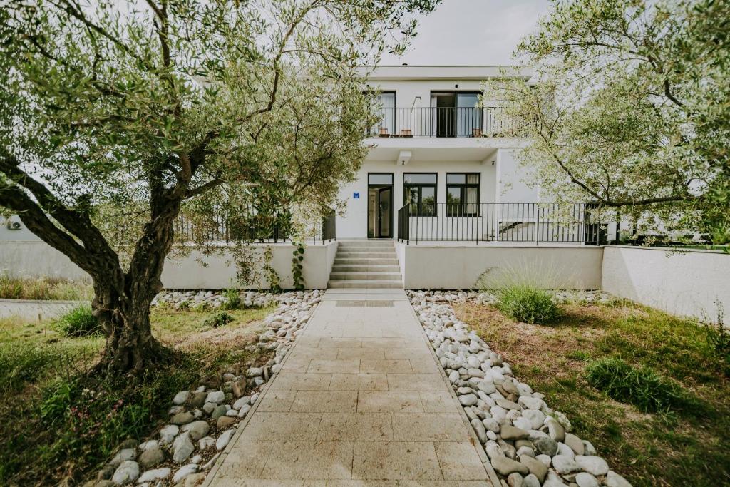 une maison blanche avec un arbre et une passerelle dans l'établissement Villa Laurus Residence, à Buje