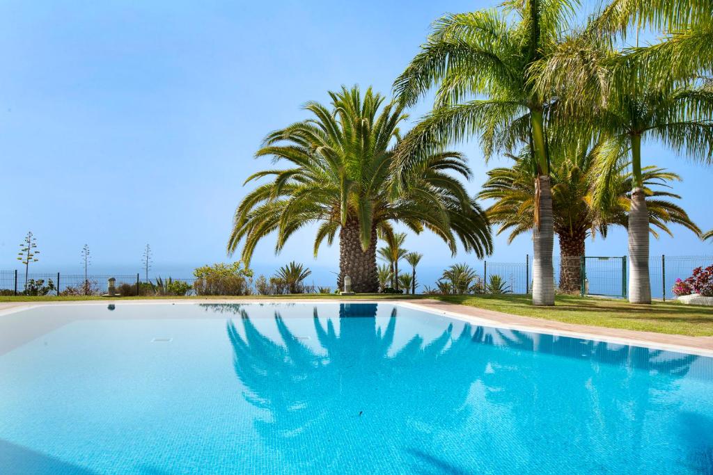 una gran piscina con palmeras en el fondo en Villa Pueblo Don Thomas, en Playa de Santiago