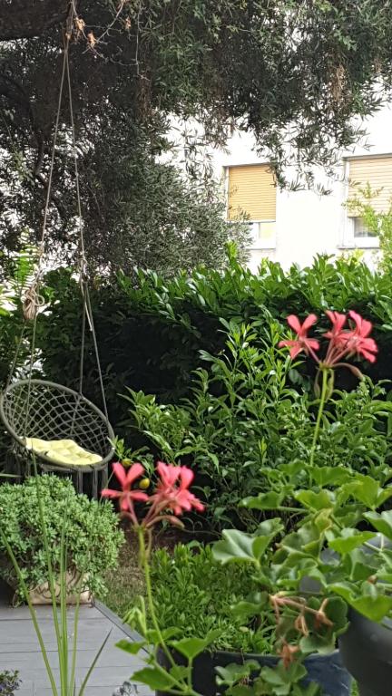 Vana & Tea Luxury Studio Apartment - 14