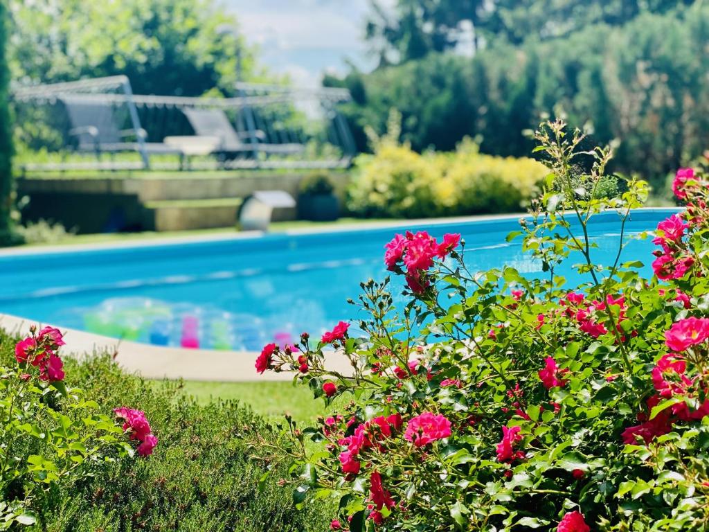 Bazén v ubytovaní Villa Oliva Boutique Rooms Zamárdi alebo v jeho blízkosti