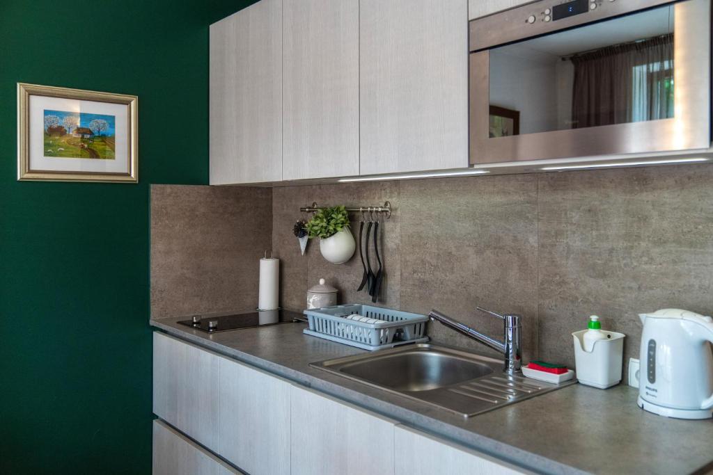 Apartament Chata Toma - 7