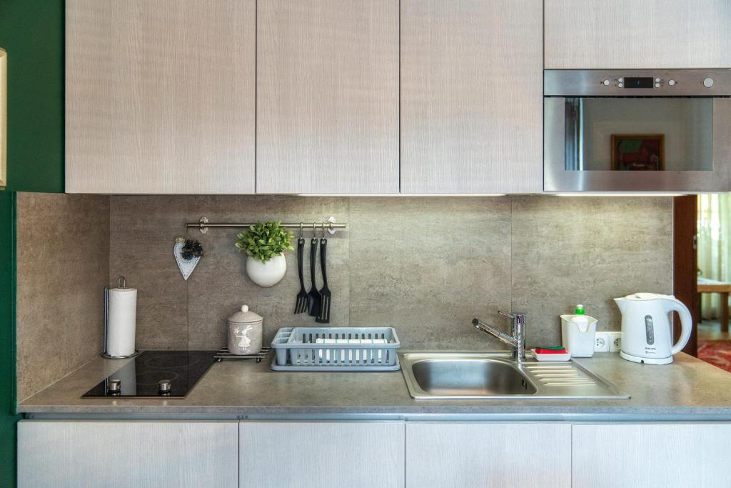 Apartament Chata Toma - 8