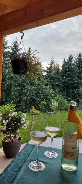 Zahrada ubytování Ferienhaus Richtermühle