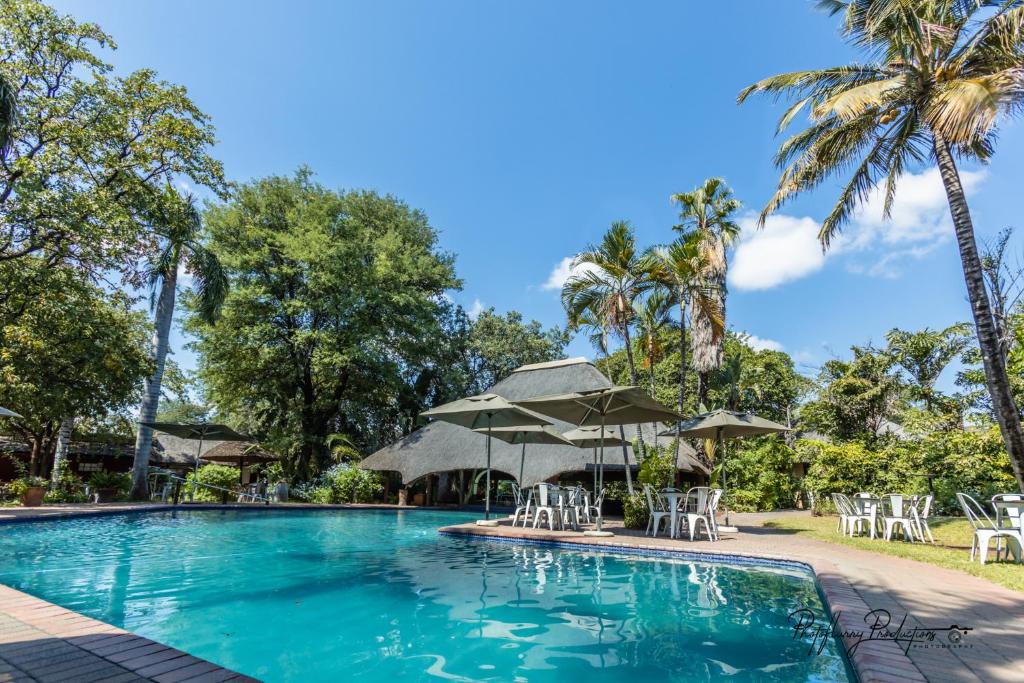 a pool at a resort with chairs and umbrellas at Sefapane Lodge and Safaris in Phalaborwa
