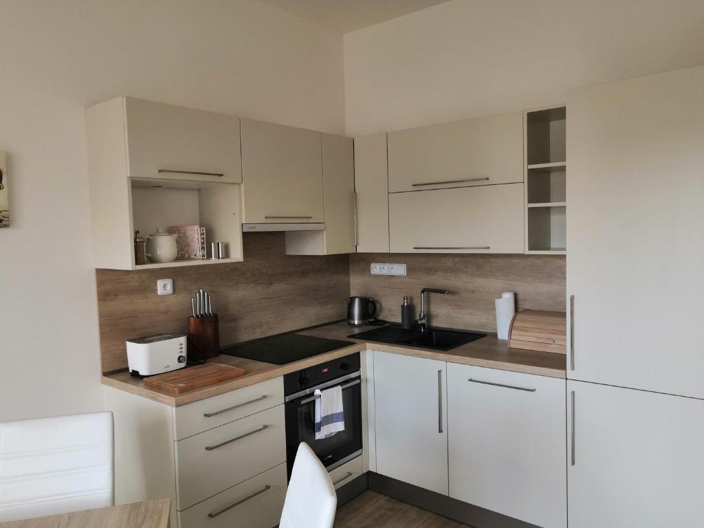 Kuchyň nebo kuchyňský kout v ubytování Znojmo apartmány